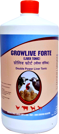 Double Power Liver Tonic for Broilers Layers Manufacturer Supplier Wholesale Exporter Importer Buyer Trader Retailer in Bangalore Karnataka India